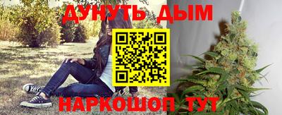 бошки Новодвинск