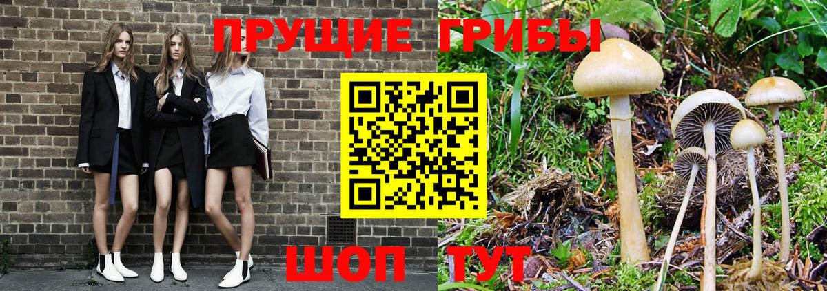 Соликамск  Псилоцибиновые грибы Cubensis  Вход с VPN 